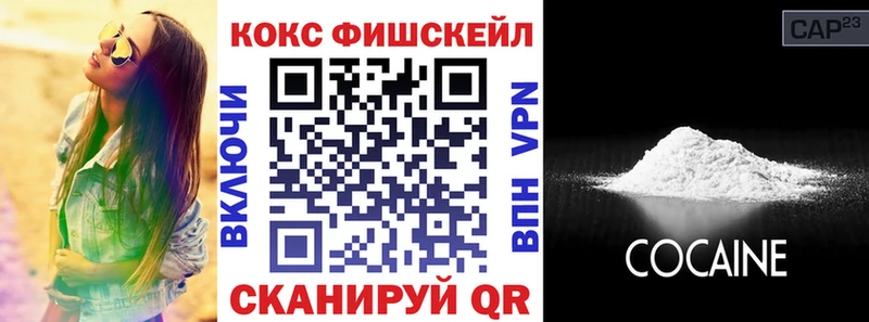 купить закладку  Черепаново  COCAIN FishScale 
