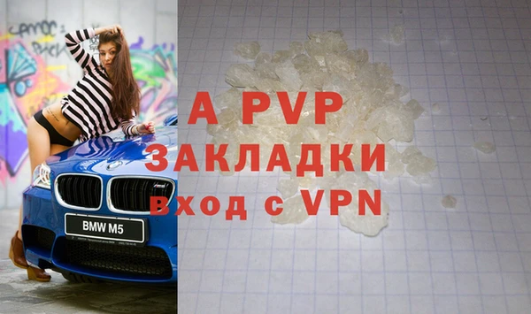 крисы Касимов