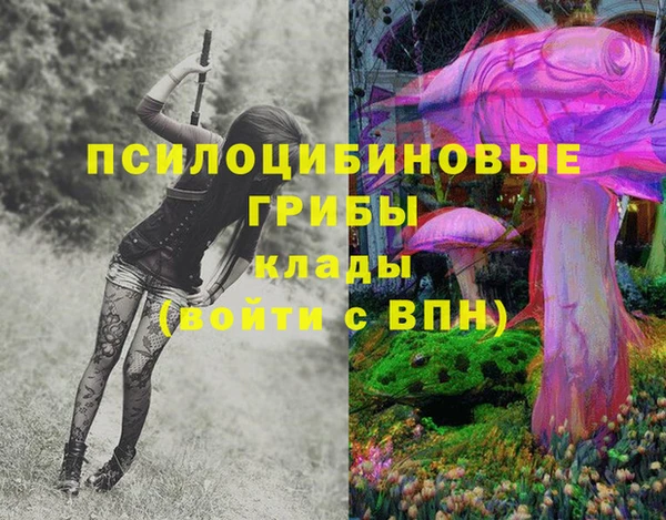 МДПВ Абдулино